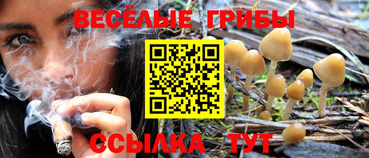 Псилоцибиновые грибы ЛСД Томск