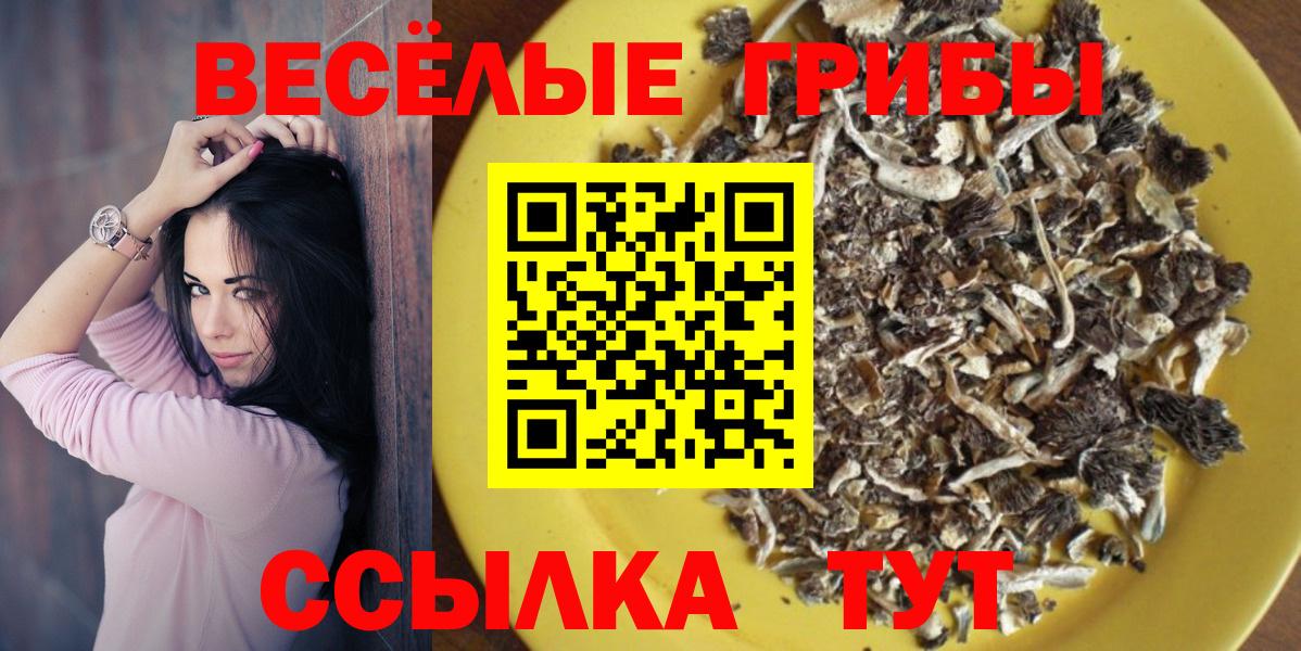 Томск  Галлюциногенные грибы Psilocybine cubensis  Вход с VPN  Галлюциногенные грибы Magic Shrooms 